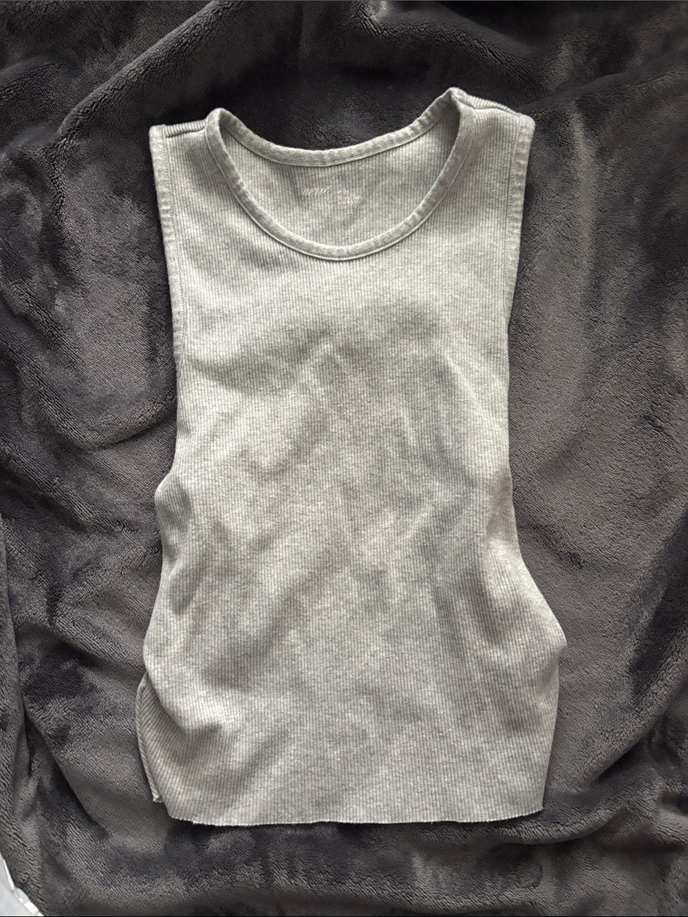 Cropped Aerie Tank